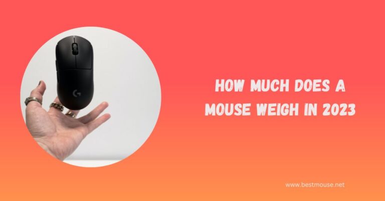 How Much Does a Mouse Weigh