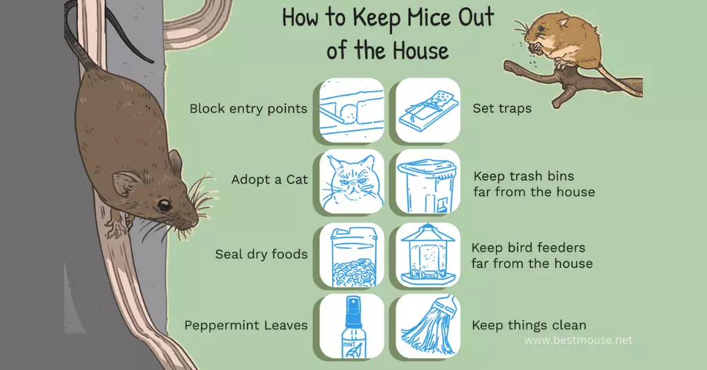 How Can I Get Rid of Mice in My House?