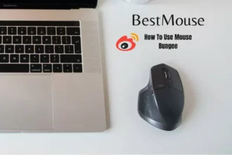 How To Use Mouse Bungee