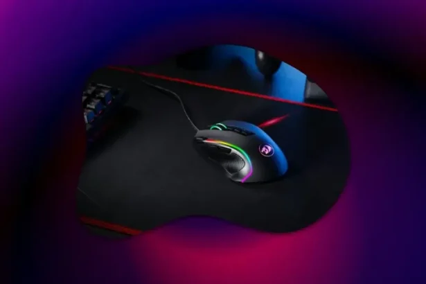 What Mouse Does Ninja Use