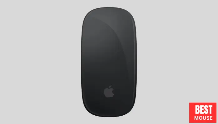 Apple Magic Mouse